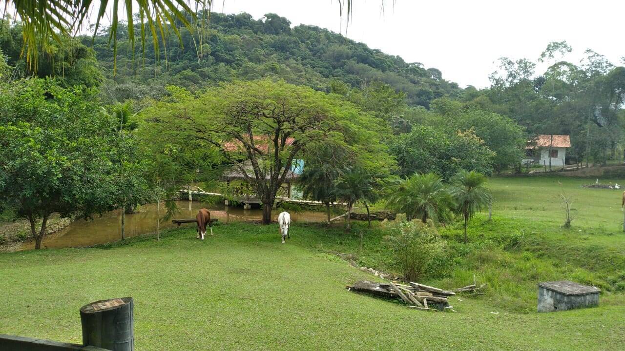 Fazenda à venda com 10 quartos, 1600m² - Foto 3